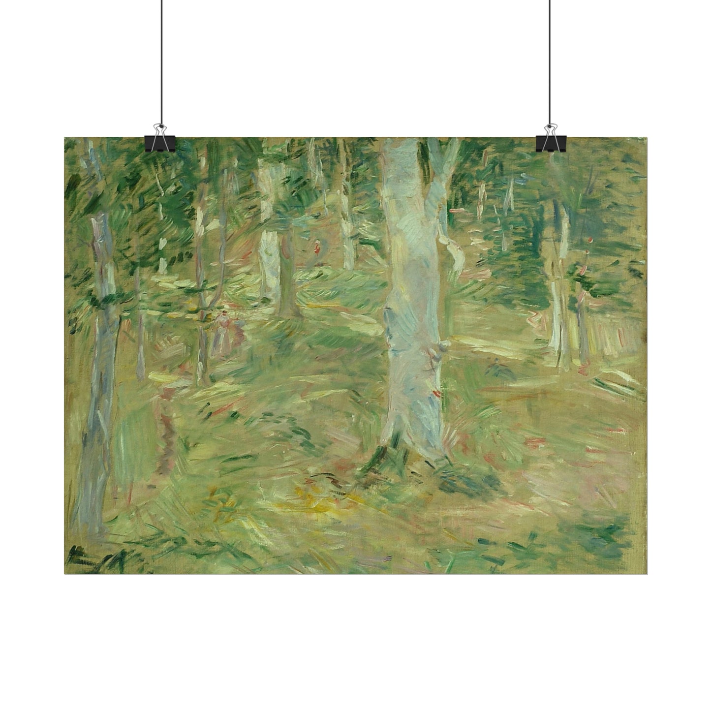 Forêt de Compiègne