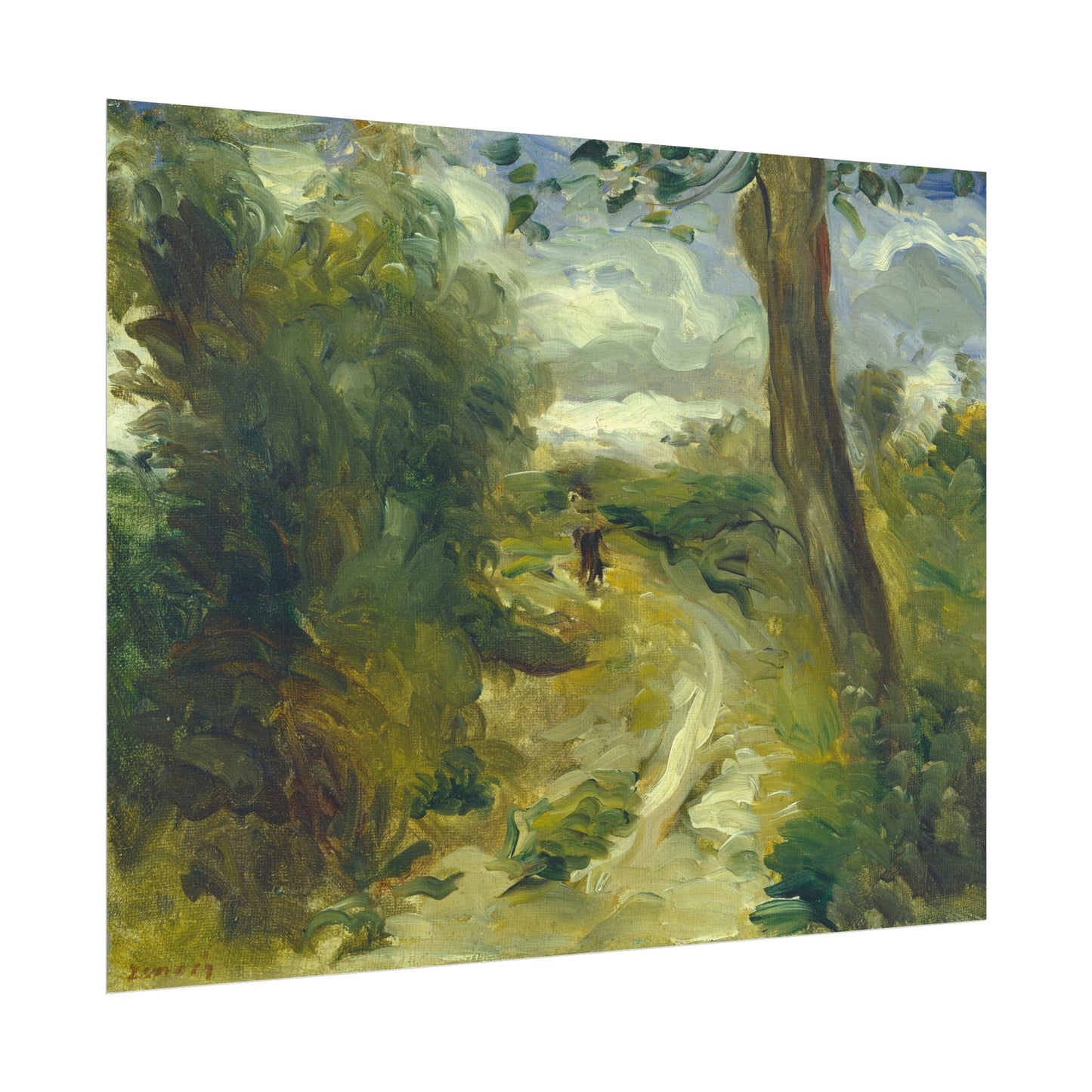 Landscape Between Storms