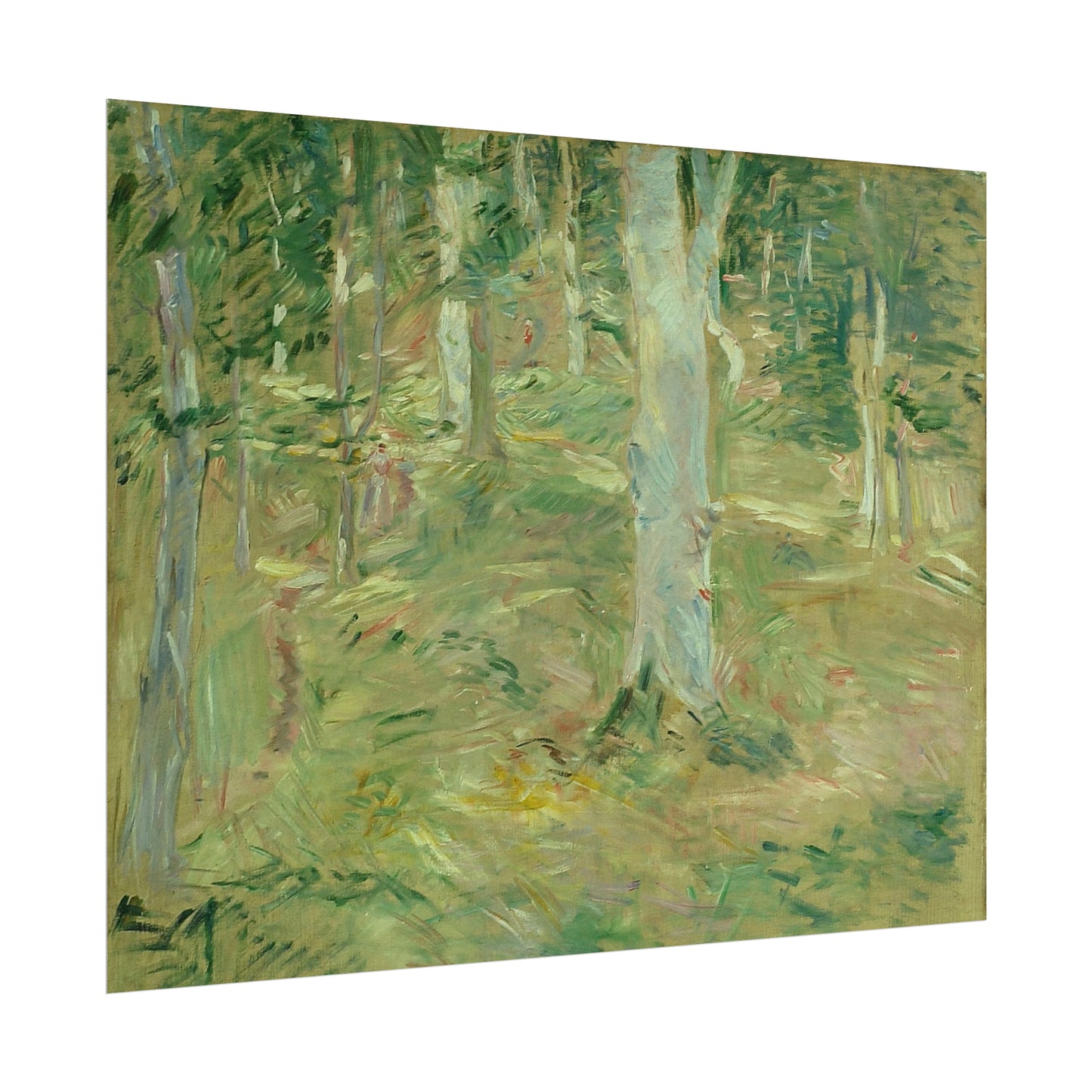 Forêt de Compiègne