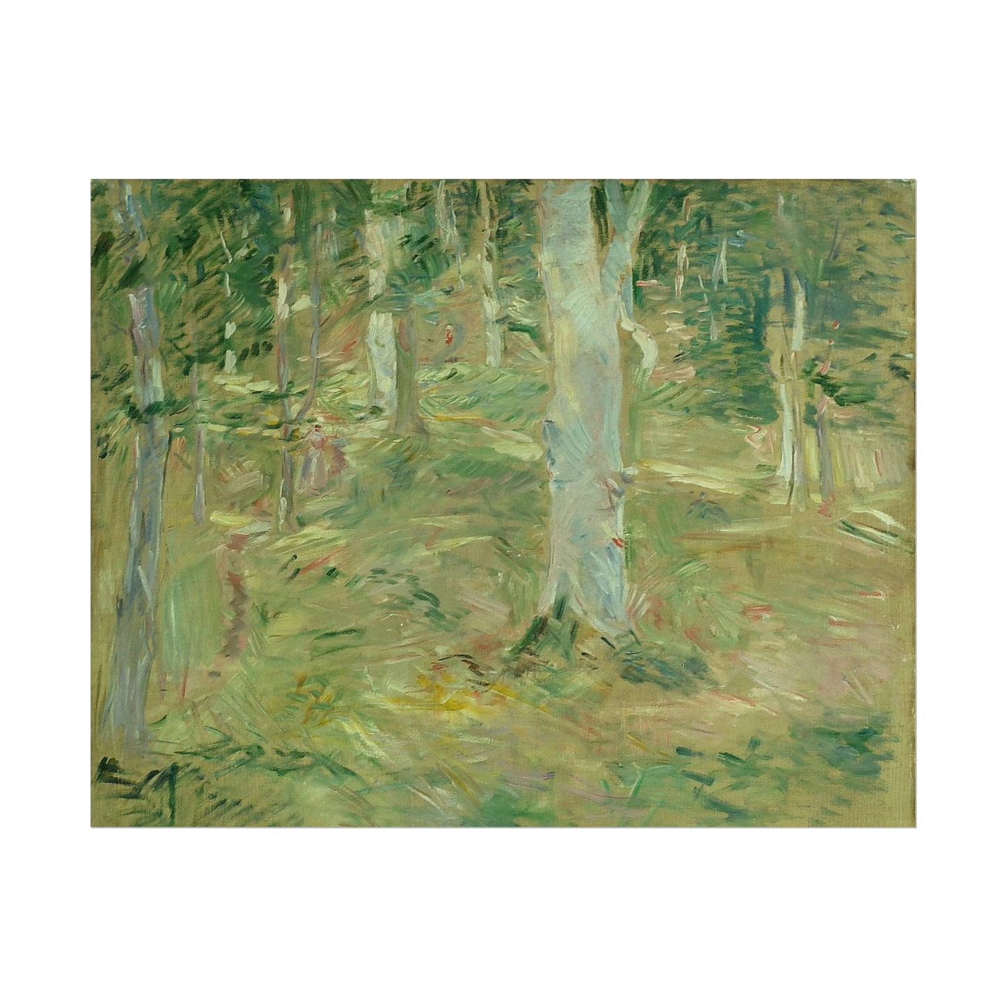 Forêt de Compiègne