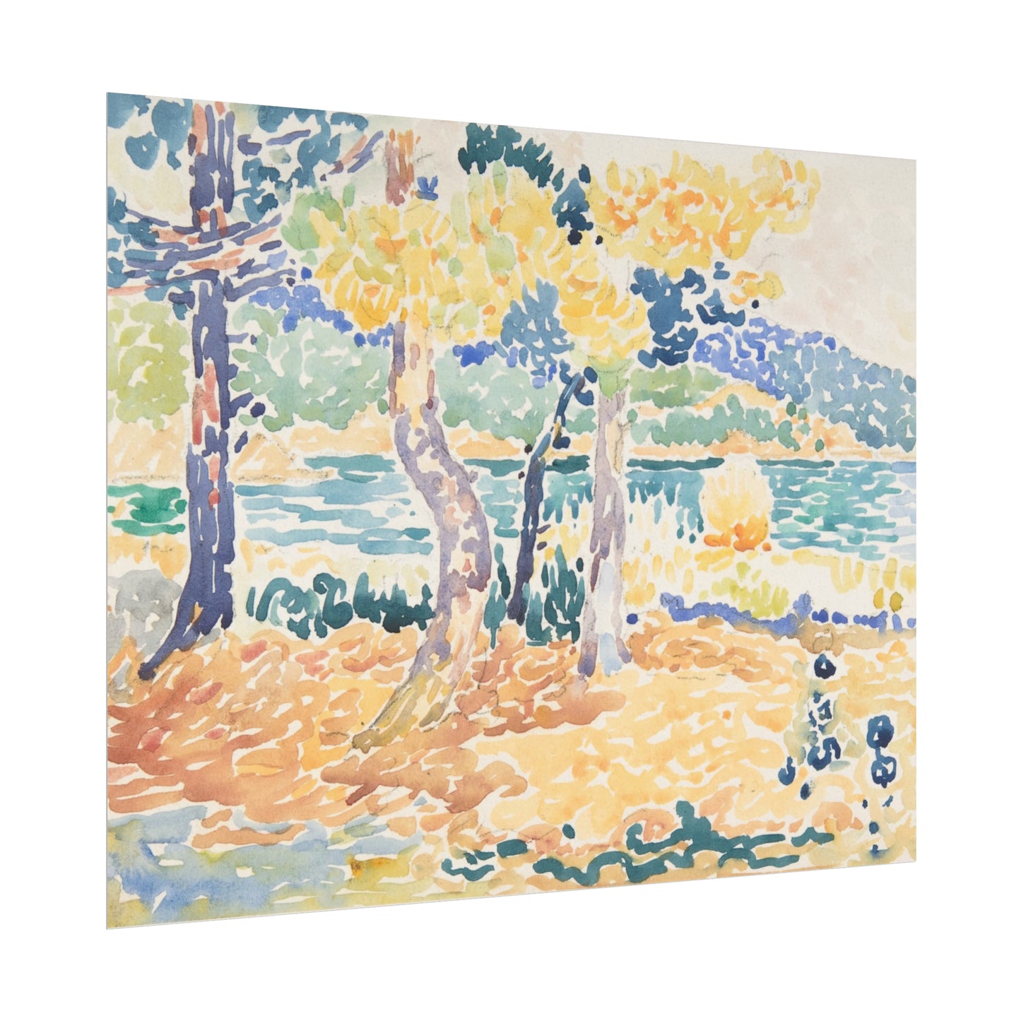 Coastal Pines