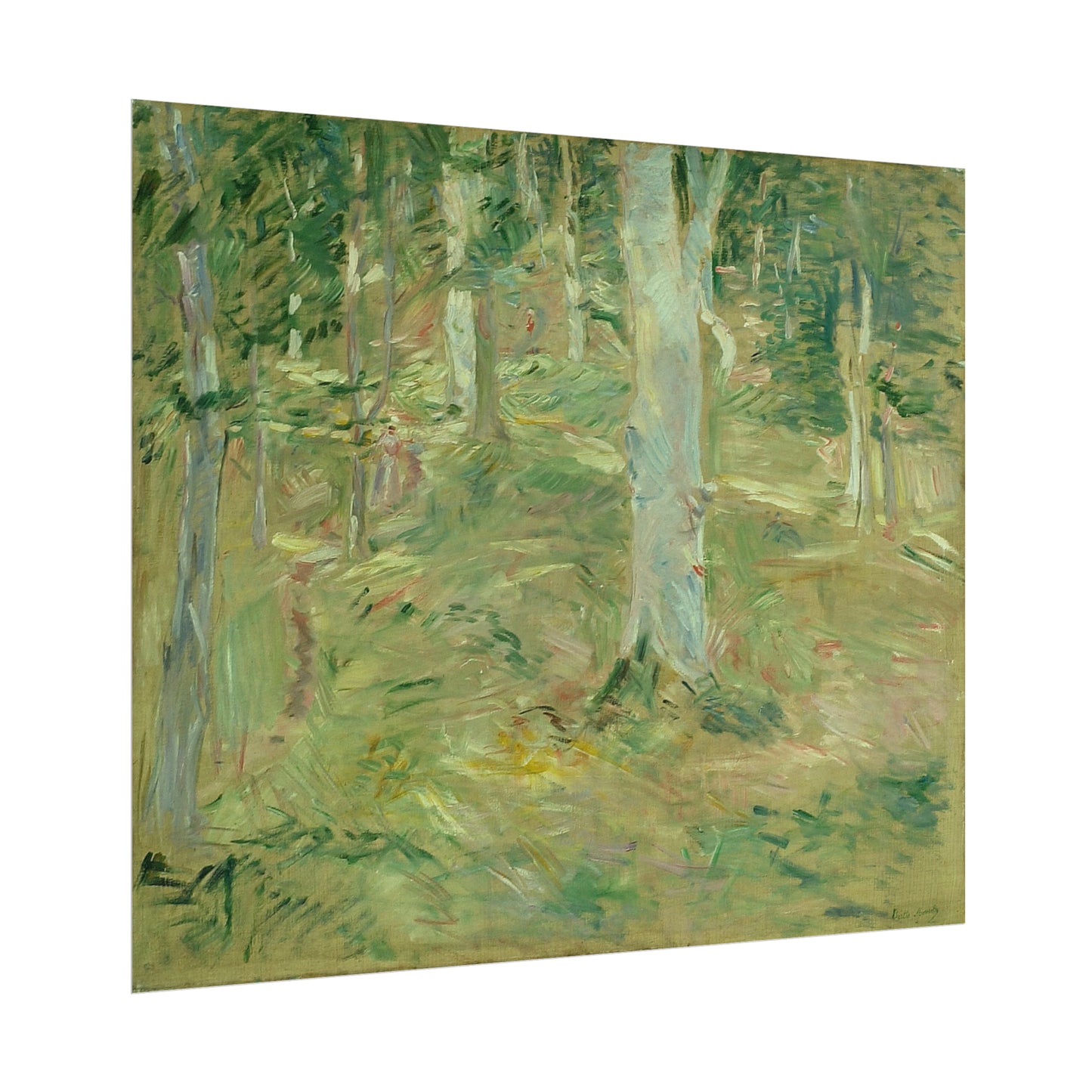 Forêt de Compiègne