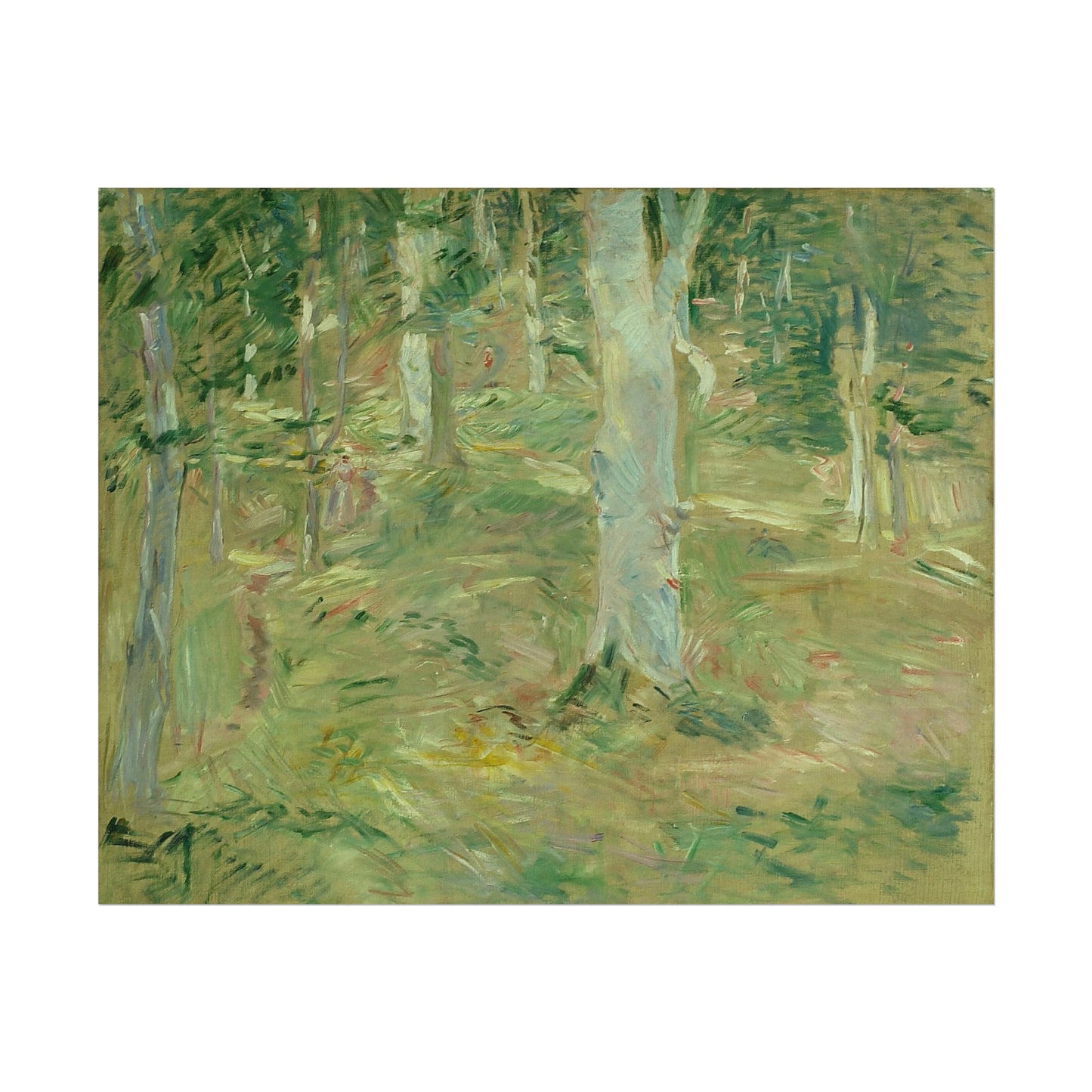 Forêt de Compiègne