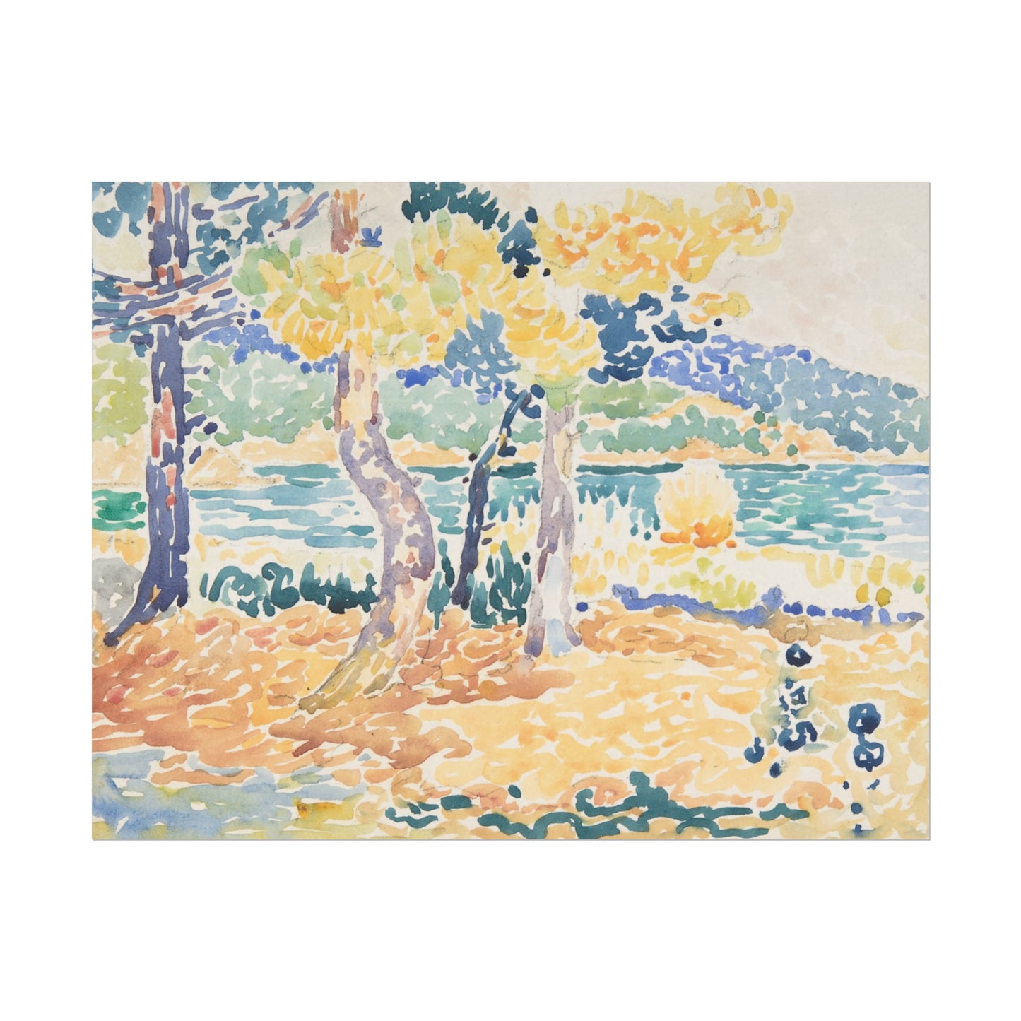 Coastal Pines