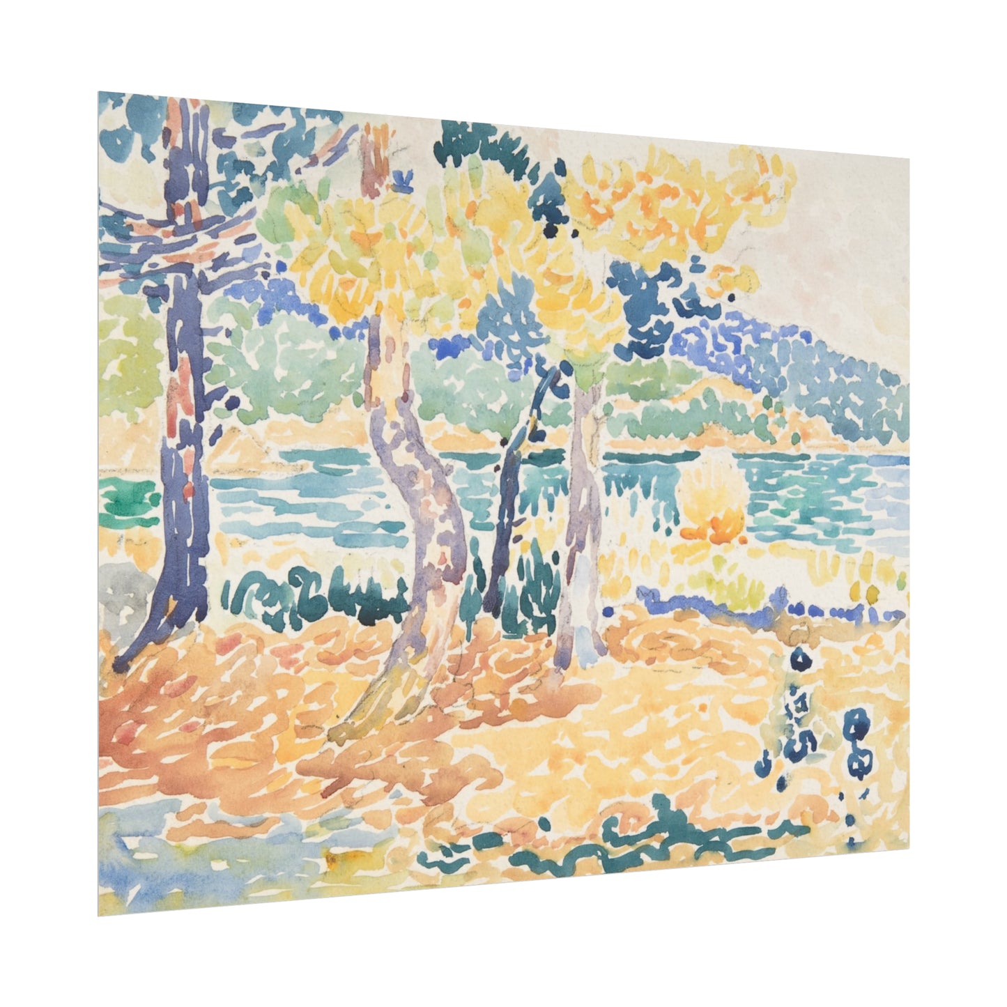 Coastal Pines