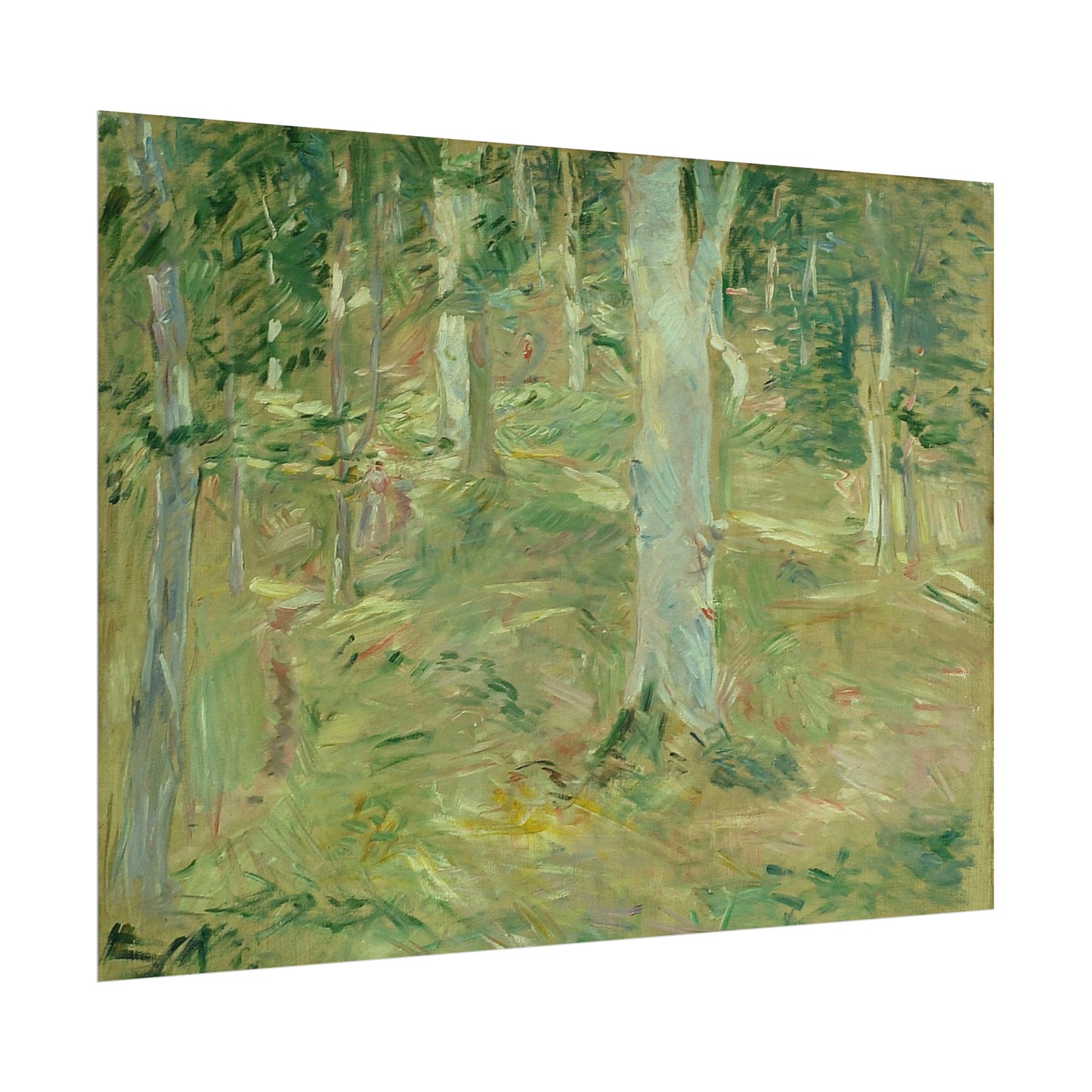 Forêt de Compiègne