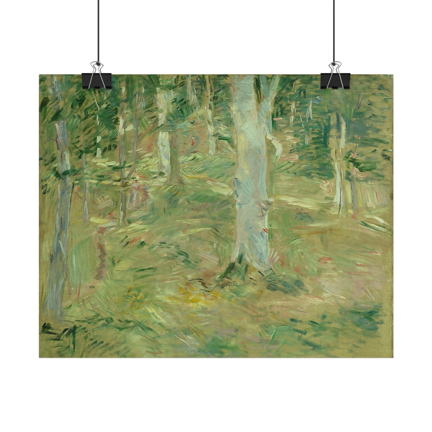 Forêt de Compiègne