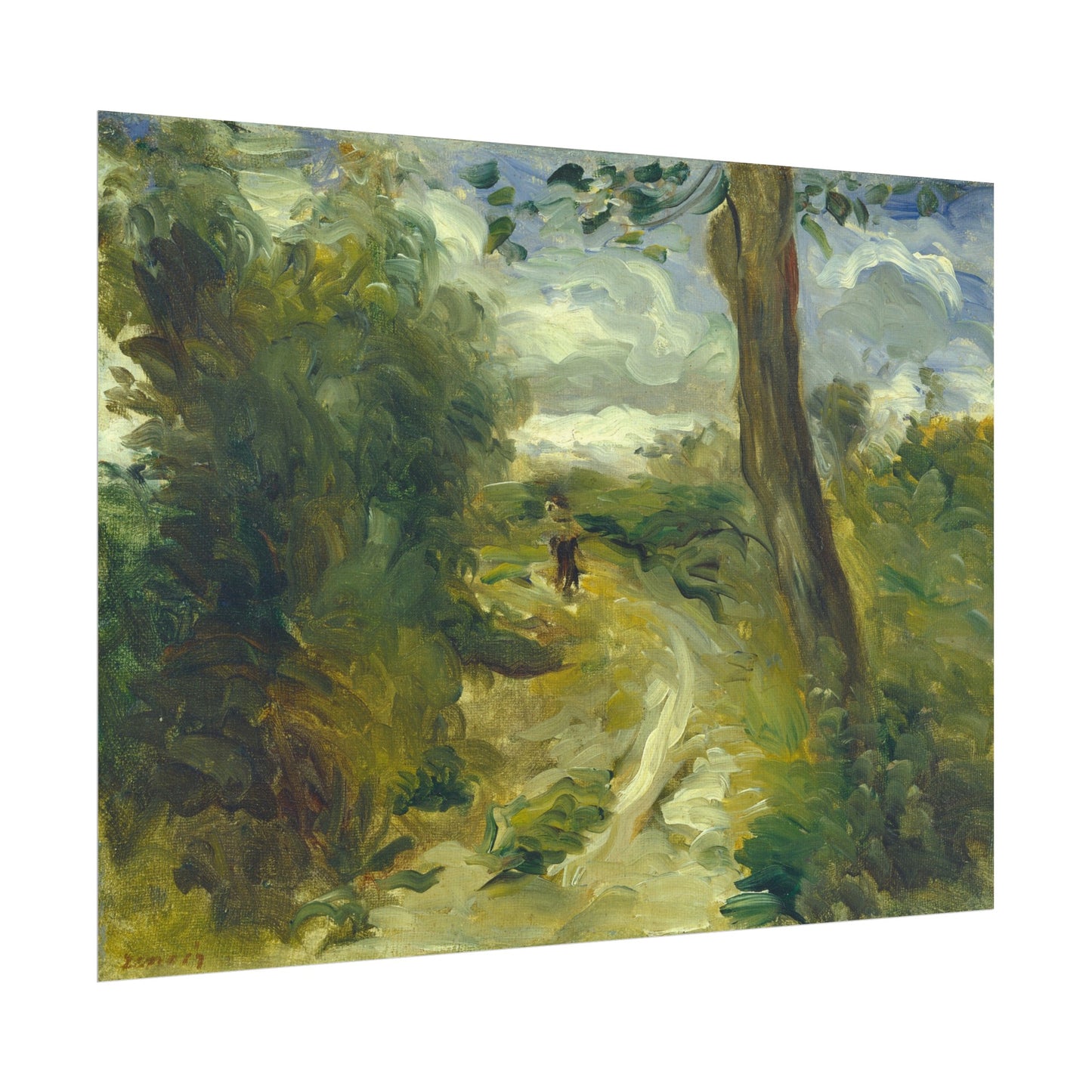 Landscape Between Storms
