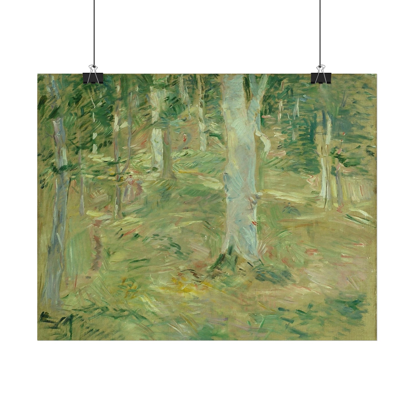 Forêt de Compiègne
