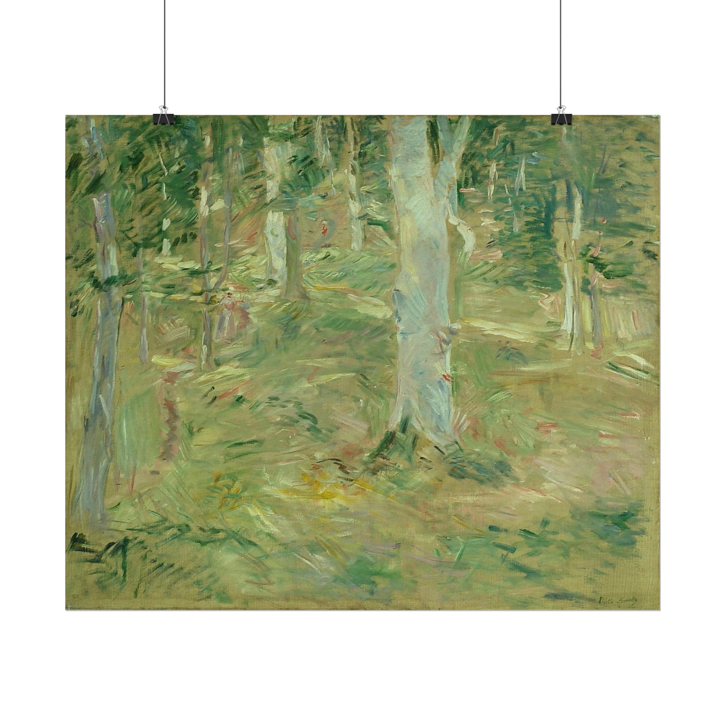 Forêt de Compiègne