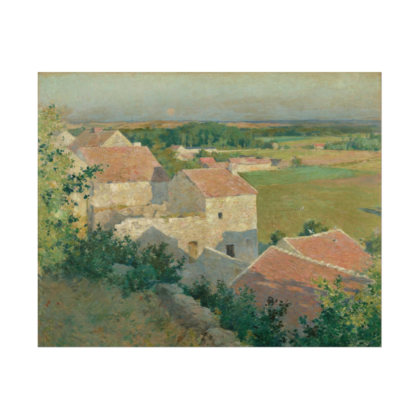 Summer Twilight