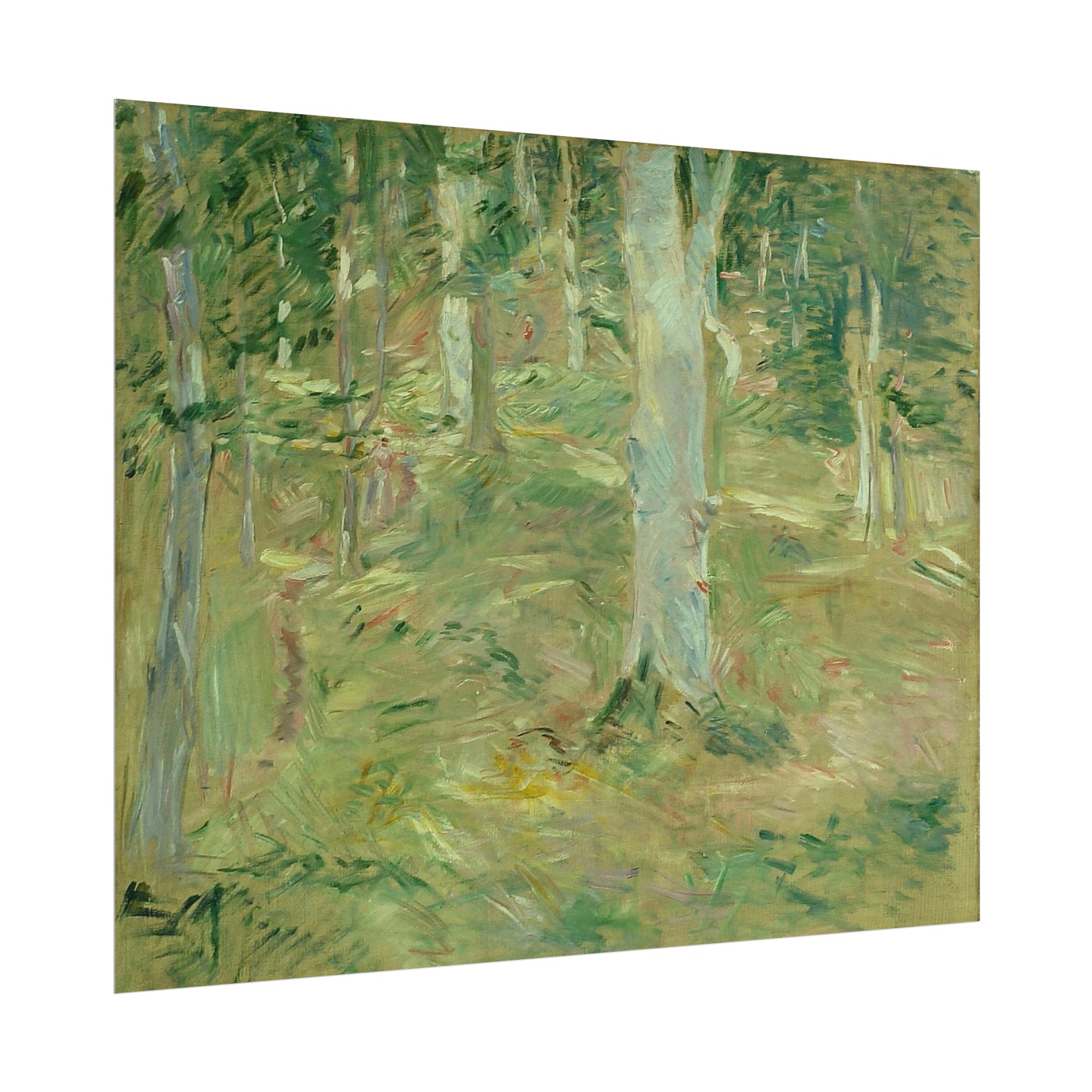 Forêt de Compiègne