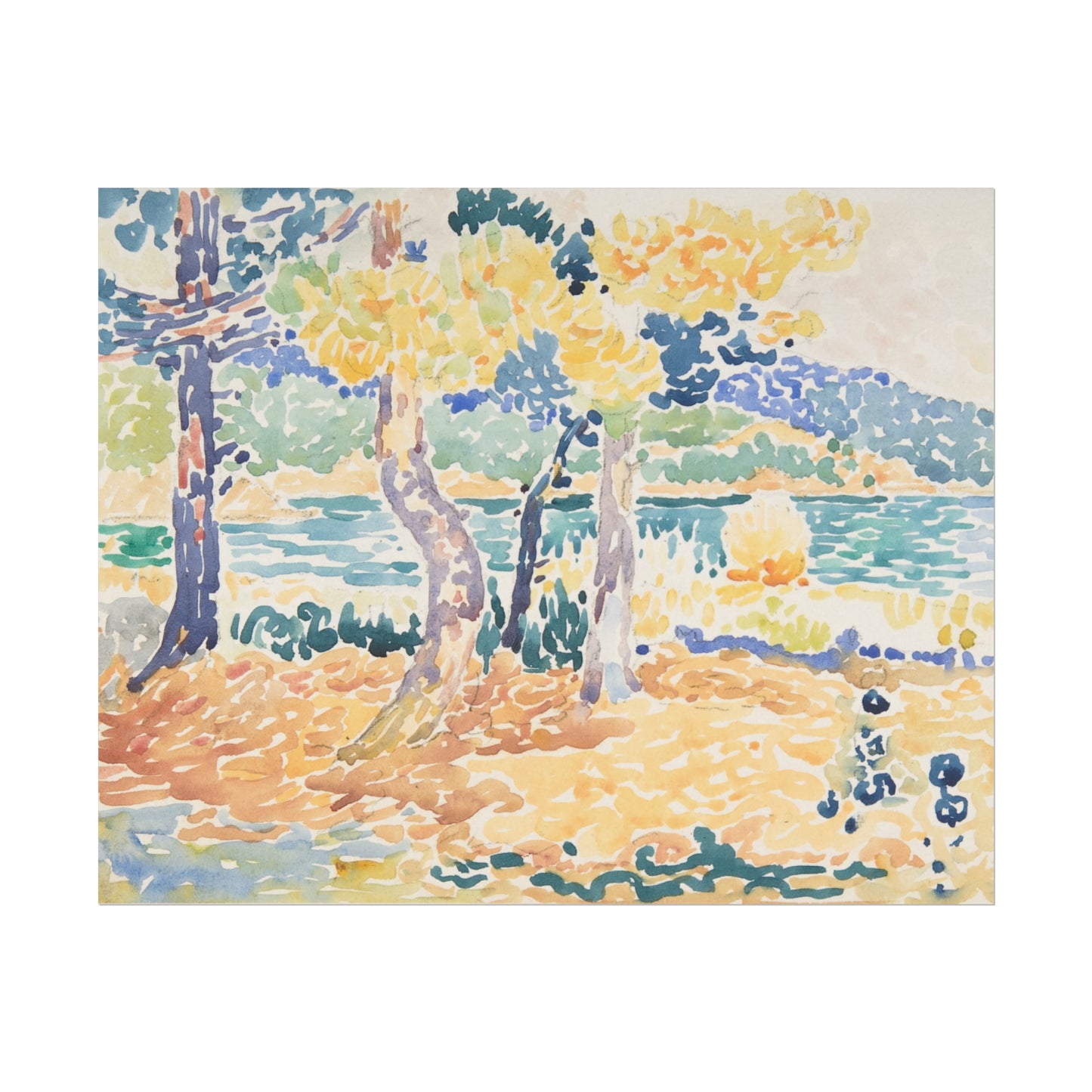 Coastal Pines
