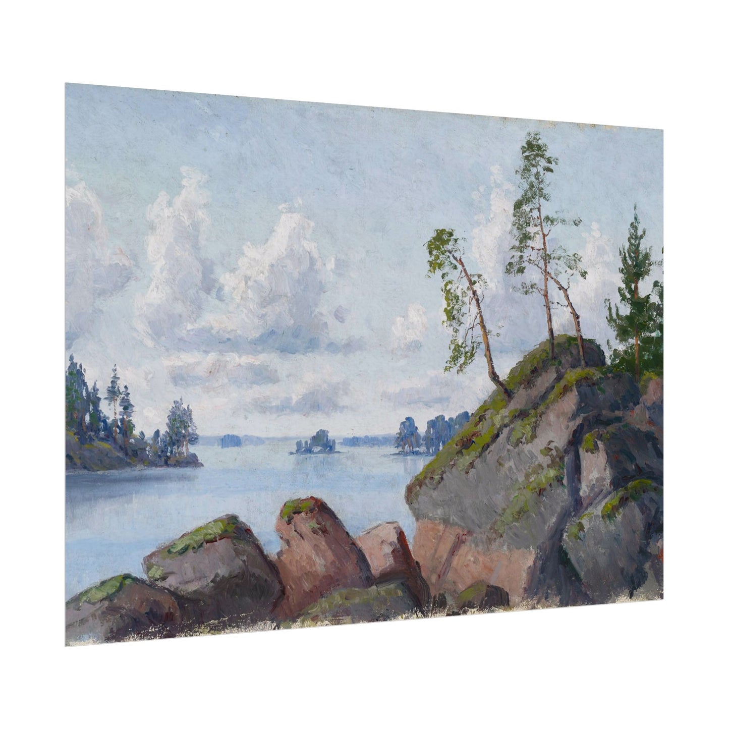 Shoreline Landscape