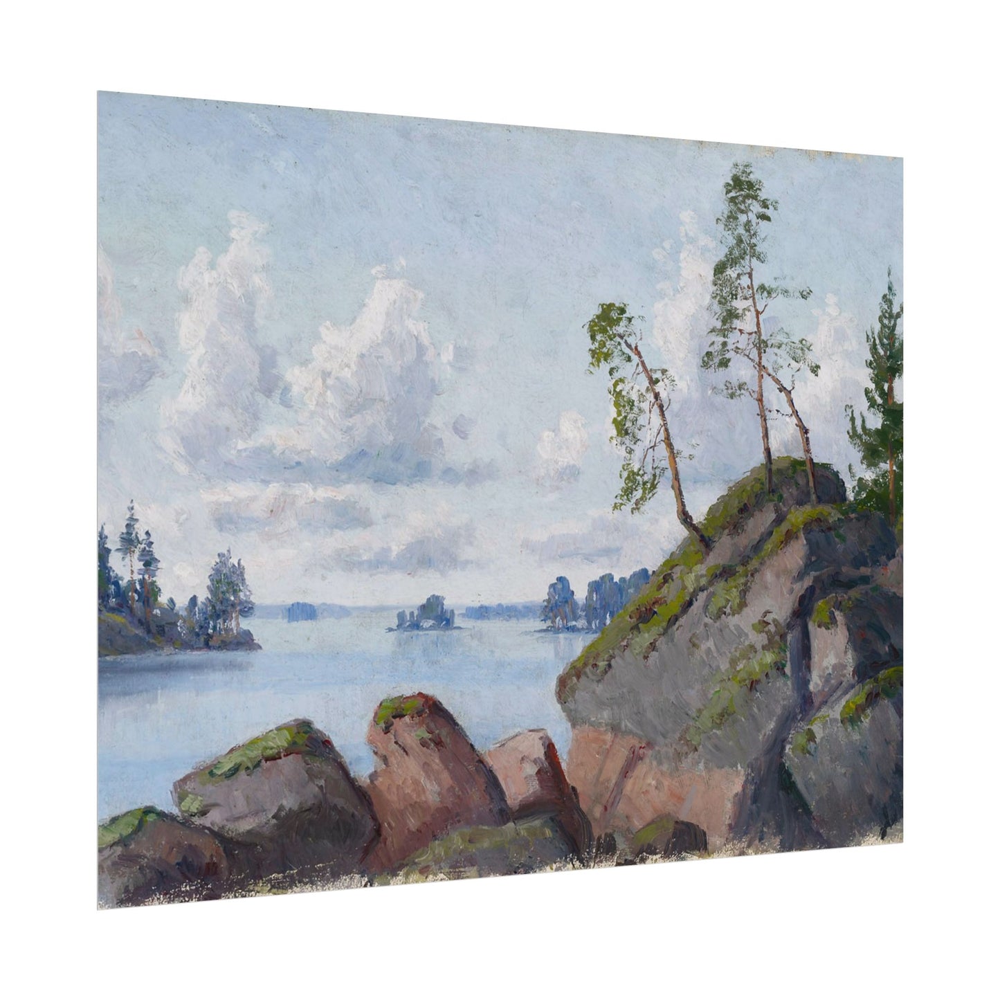 Shoreline Landscape