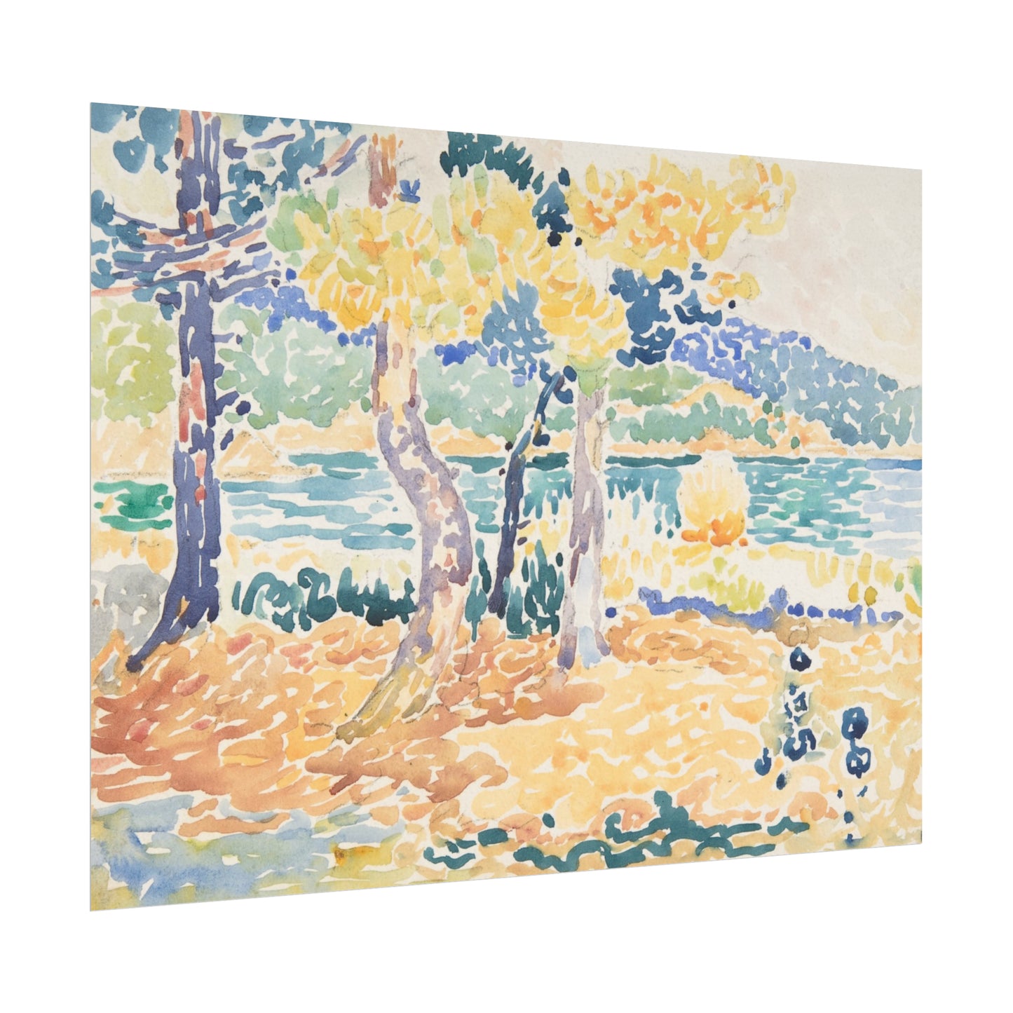 Coastal Pines