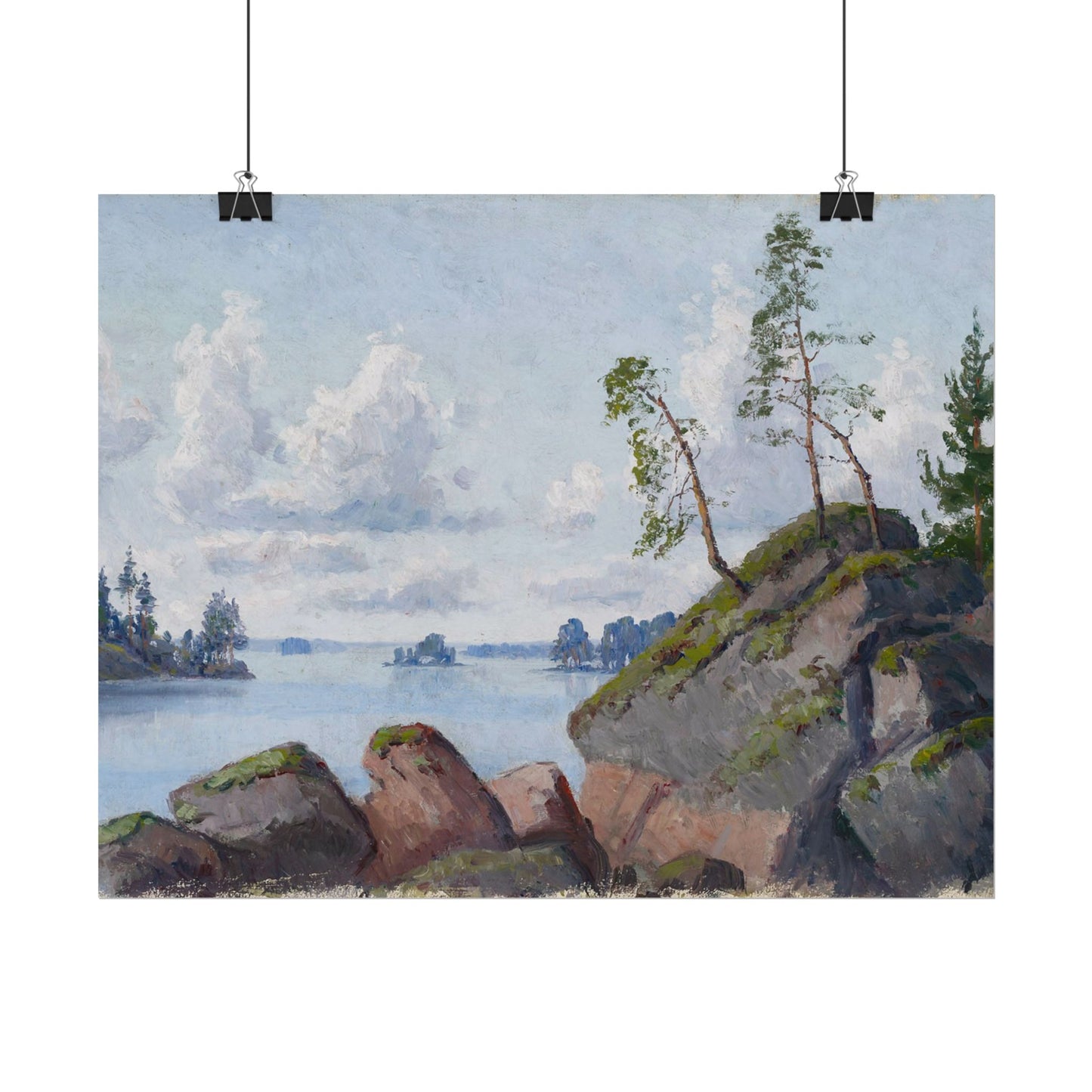 Shoreline Landscape