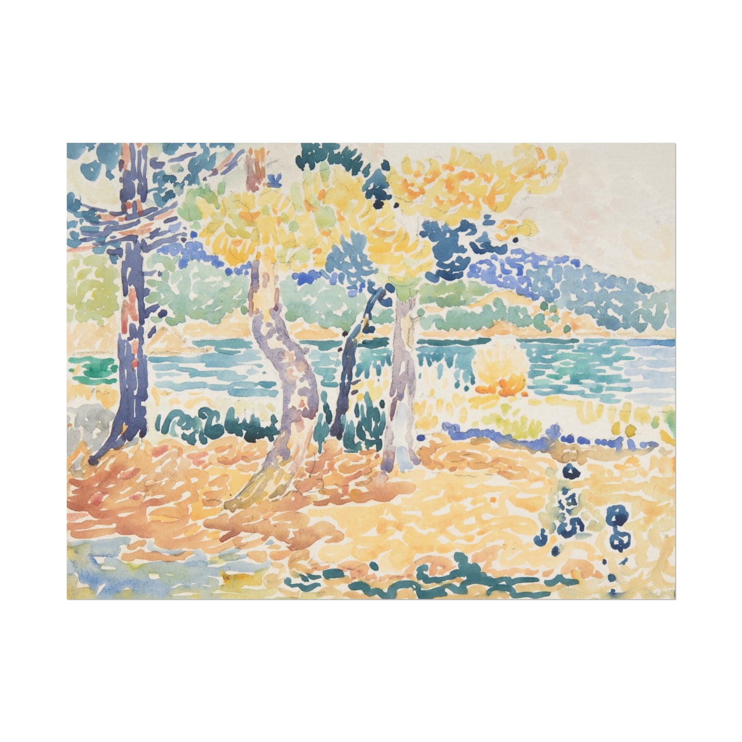 Coastal Pines