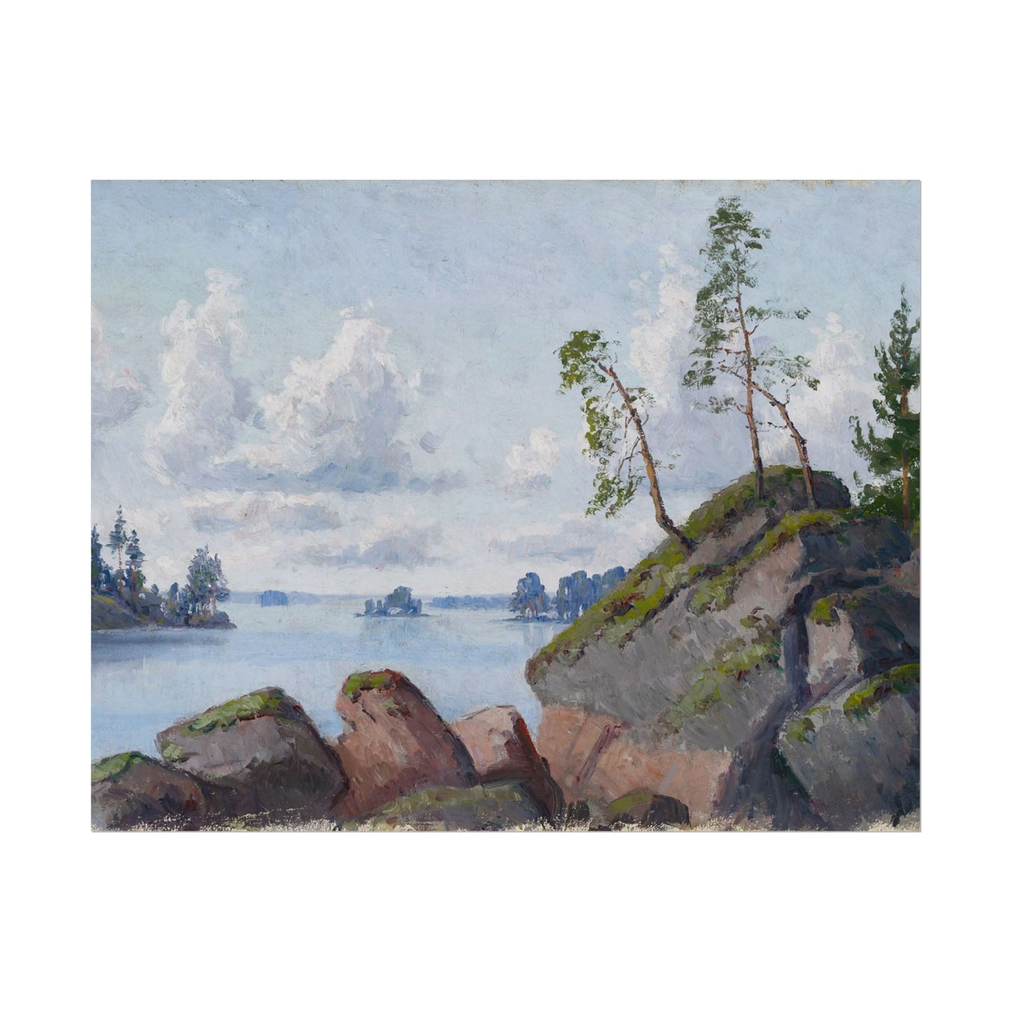 Shoreline Landscape