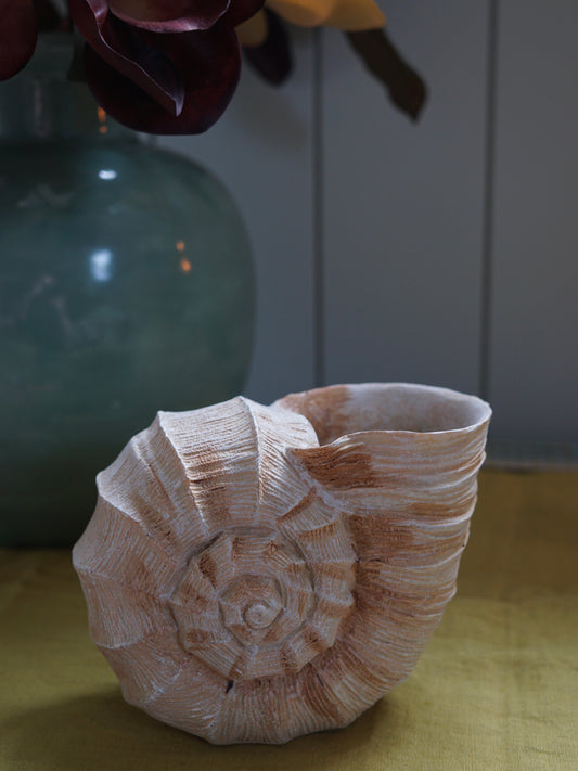 Seashell Vase